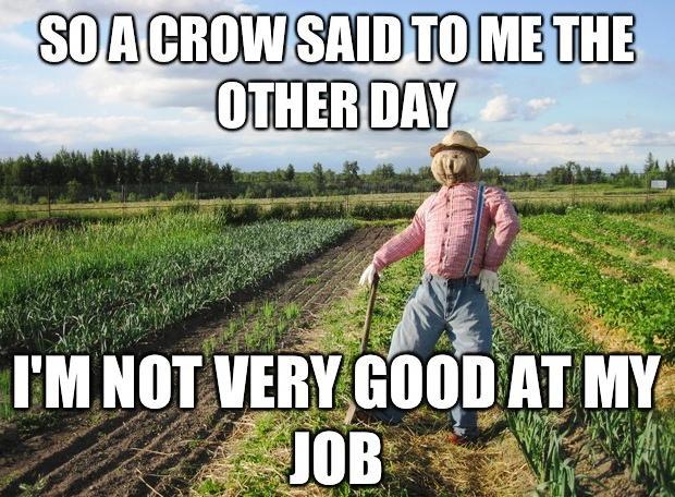 More Of The Scarecrow Meme.