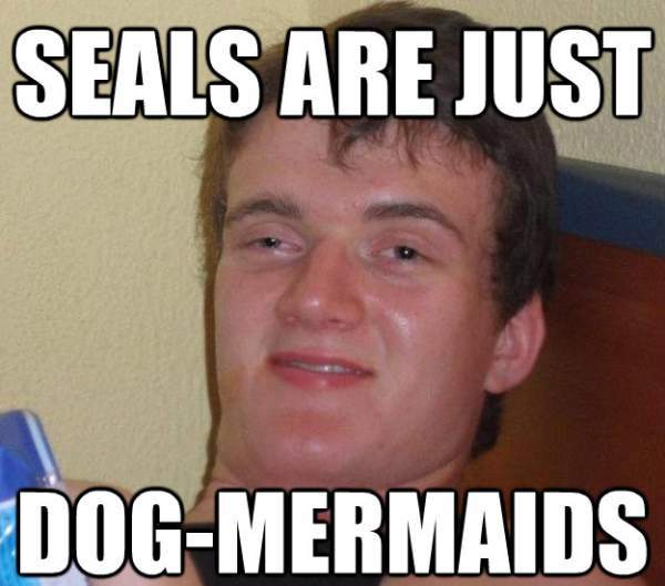 Stoned Guy Seals Dog Mermaids