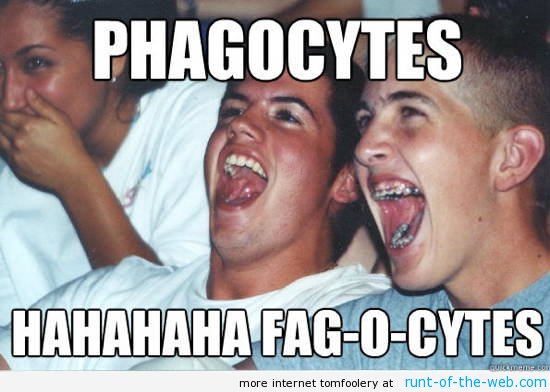 Immature High Schooler Meme Phagocytes