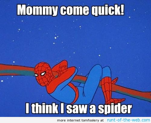 Spider-Man Meme Sees A Spider