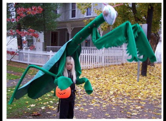 weird-halloween-kids-praying-mantis