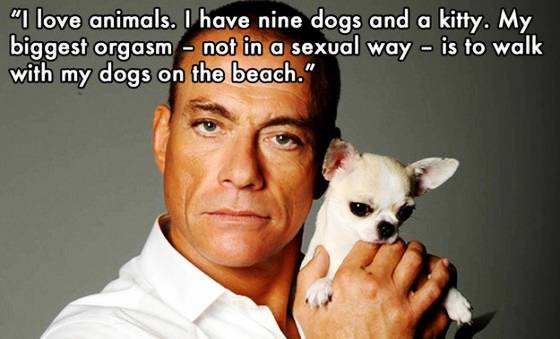WTF Jean Claude Van Damme Quote Walking Dogs on the Beach