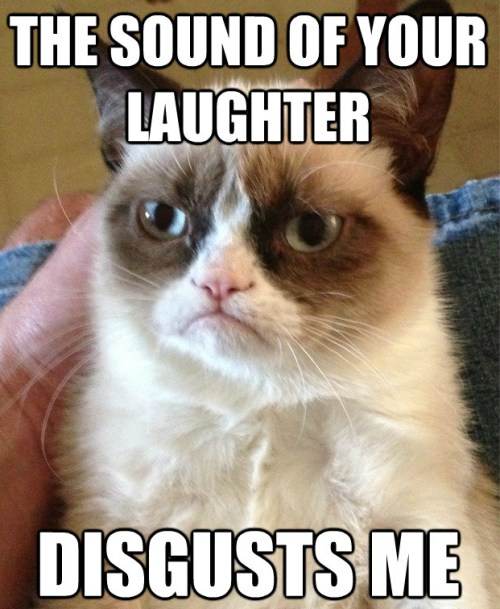The Best Of The Grumpy Cat Sound Of Laughter