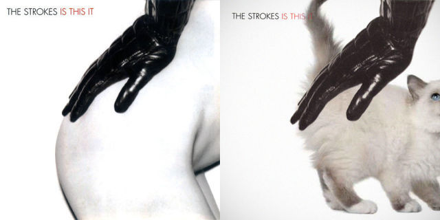 Kitten Inspired Album The Srokes