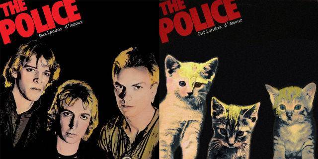 Kitten Covers The Police