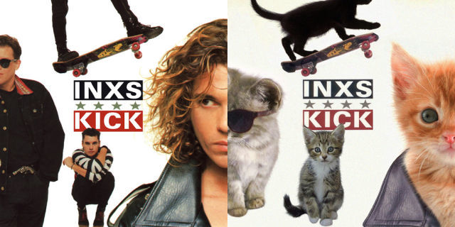 Kitten Inspired Album INX