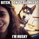 best-viral-pictures-week-5-husky