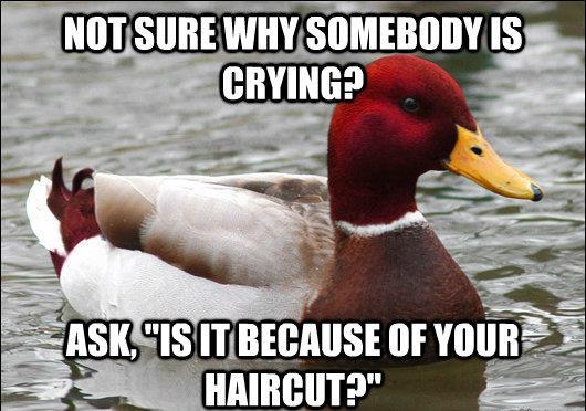 malicious-advice-mallard-bad-haircut