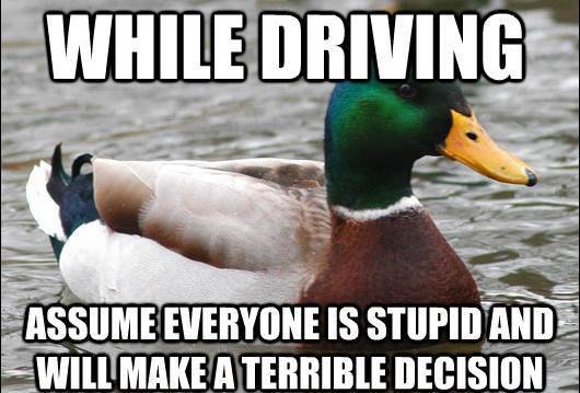 Assuming Everyone Is Stupid While Driving