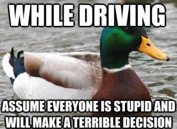Advice Mallard On Driving
