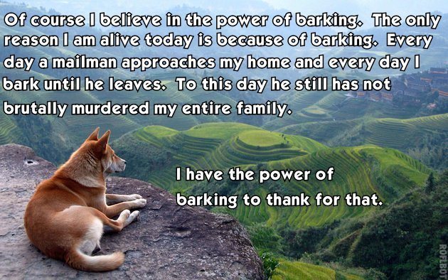 best-viral-pictures-power-barking