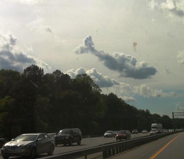 best-viral-pictures-whale-cloud