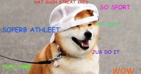 Hilarious Shebe Memes
