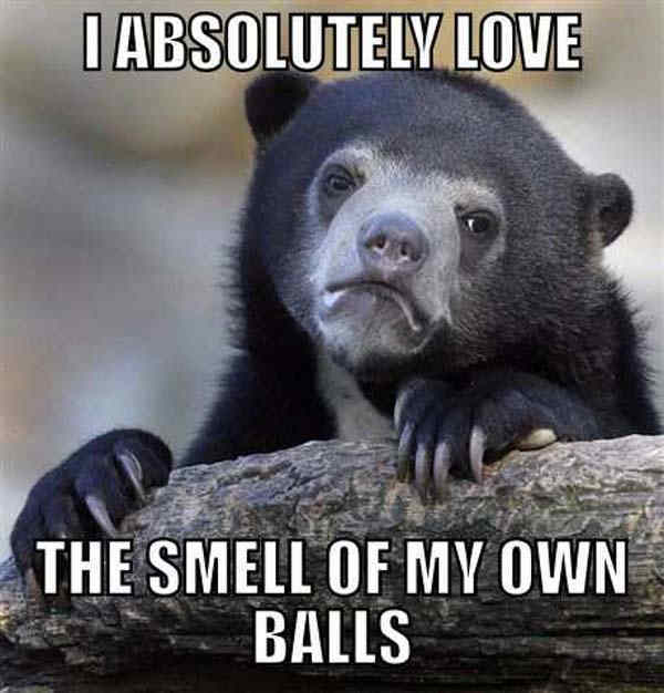 Confession Bear Memes Love The Smell Of Balls
