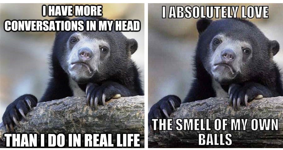 Conversations Confession Bear Memes