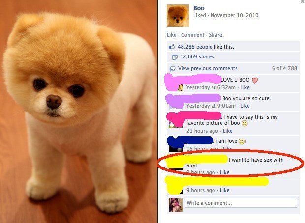 The Most Epic Facebook Comments Ever