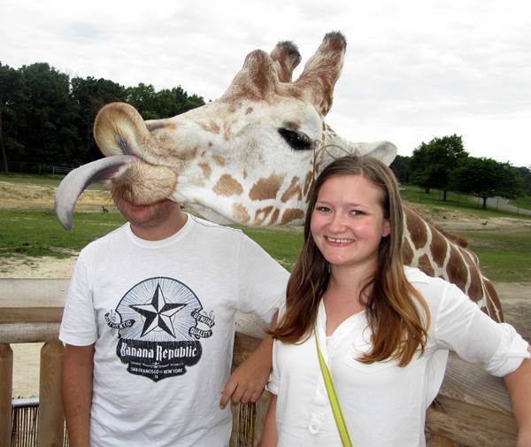 Giraffe Photobomb