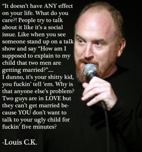 Louis CK On Gay Marriage