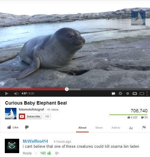 Baby Seal Bin Laden