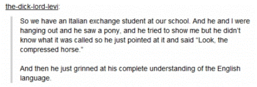 Funniest Tumblr Posts Italian Exchange Student