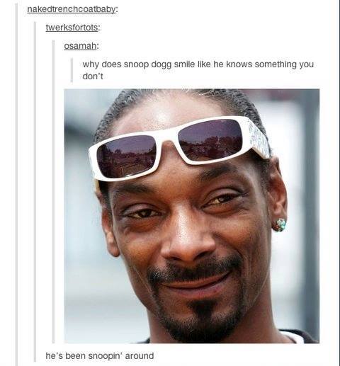 Funniest Tumblr Posts Snoop