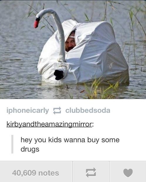 The 50 Funniest Tumblr Posts Of All Time