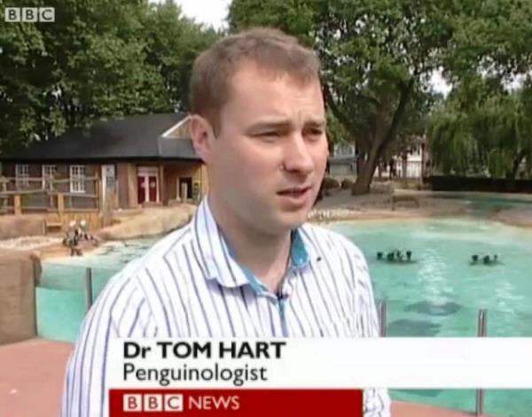 Penguinologist