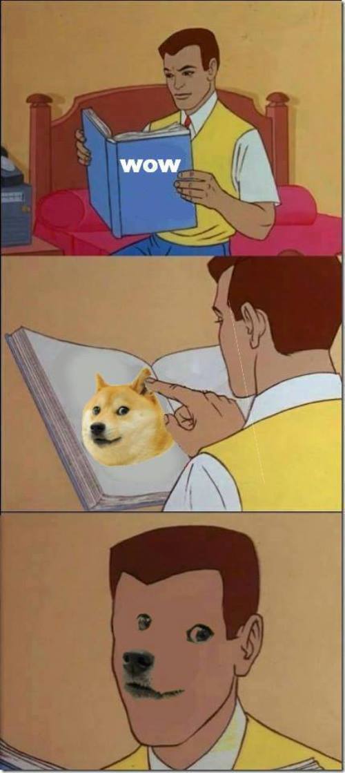Becoming Doge