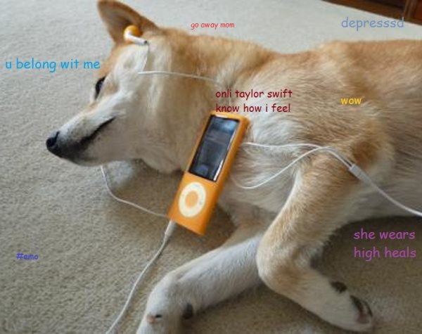 Shiba Listens To Music