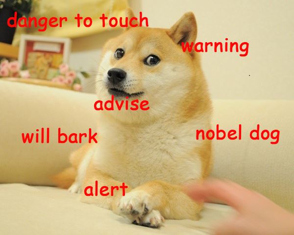 The Best Of Doge