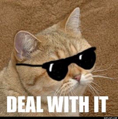 Deal With It Cat