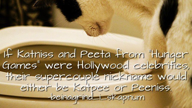 Katniss And Peeta