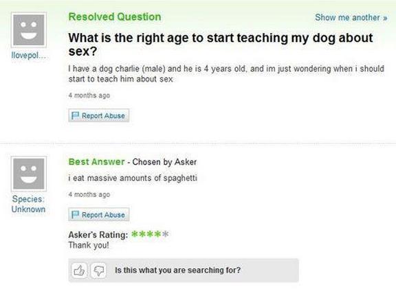 Yahoo Questions Dog Sex Education