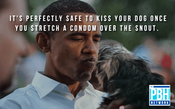 How To Safely Kiss Your Dog