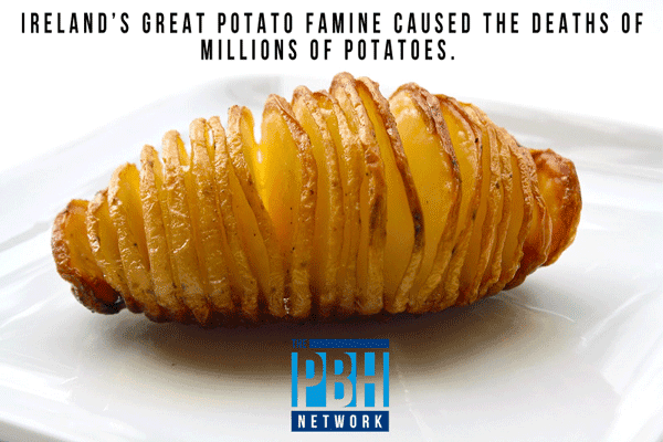 Potato Famine