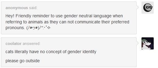 Gender Neutral Pets