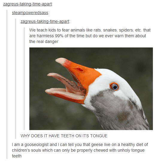 Tumblr’s Scariest Goose
