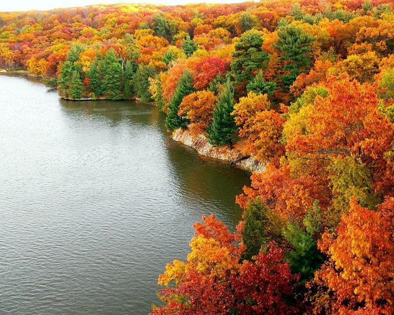 colorful-fall-photos-fall-trees
