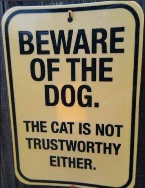 Beware Of Dog