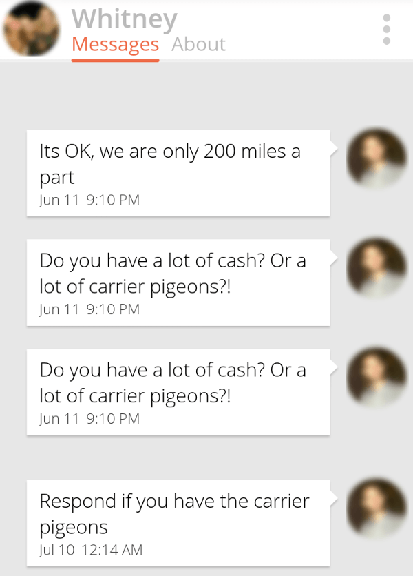 Carrier Pigeons