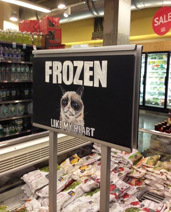 Funniest Signs Ever Grumpy Cat