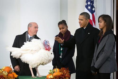obama-turkey