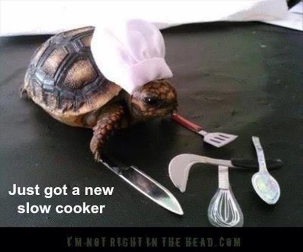 Slow Cooker