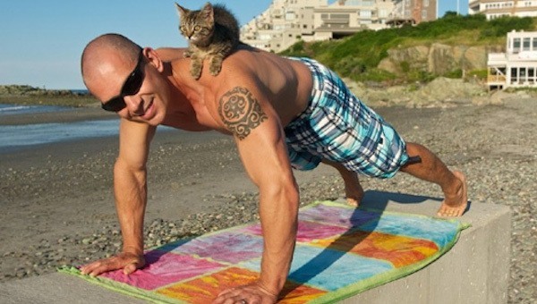 Kitten Push Ups