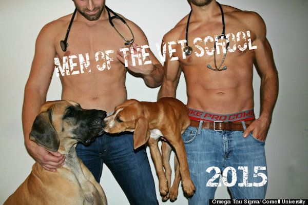 The Men Of Vet School