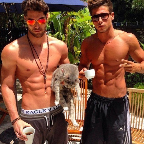 Two Hot Guys With A Cat