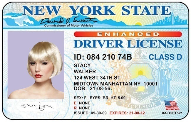 fugitive-chic-license