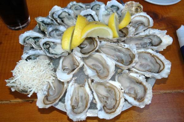 raw-oysters