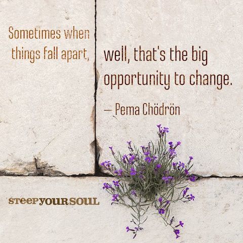 uplifting-pinterest-quotes-chodron-opportunity