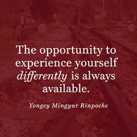 uplifting-pinterest-quotes-rinpoche